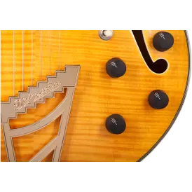 Single Cut Semi-Hollow Electric Guitar - Natural